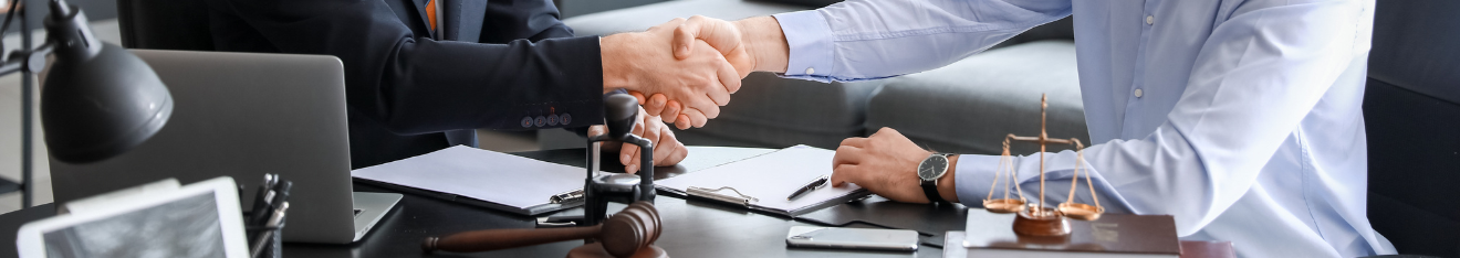 business litigation lawyer shaking hands with a client